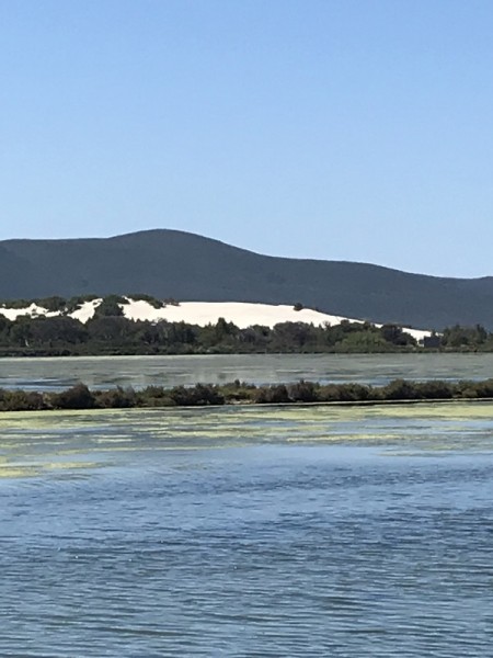 porto pino dune 1.JPG