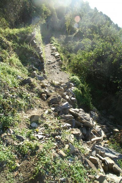 Sentiero basso che collega le Cinque Terre (tra Corniglia e Vernazza)