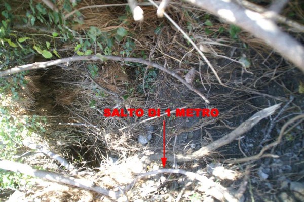 Appena fuori dal tunnel di canne