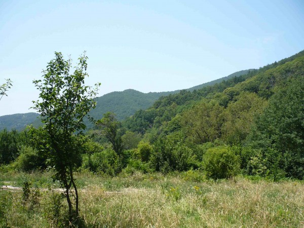 Panorama visto dalla casa