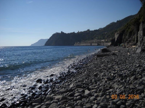 Spiaggia Corniglia.jpg