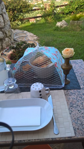 1D87898F-4AAE-489C-85EE-EF0F314A25DF.jpeg (249.75 KiB) Visto 6673 volte Piccolo esempio delle colazioni di Silvia