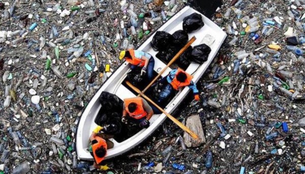 9A6336BF-F24C-428C-A75C-58D28E12FB71.jpeg (144.98 KiB) Visto 6931 volte 9A6336BF-F24C-428C-A75C-58D28E12FB71.jpeg