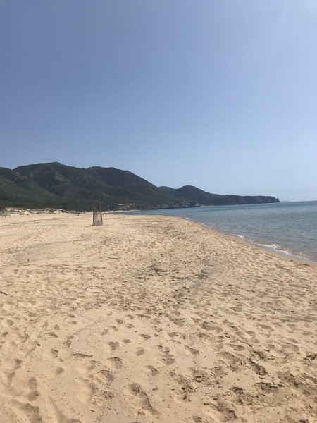 portixeddu - spiaggia i pini