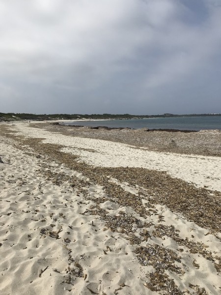 sant'antioco calasetta - spiaggia grande