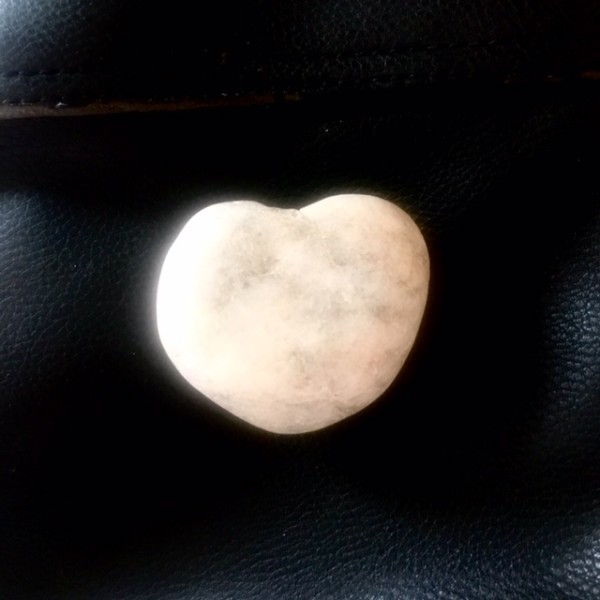 D2DD6821-D4FC-4A2F-8E64-5CDC2075F03F.jpeg (87.94 KiB) Visto 3780 volte Ricordino della serata Addifera... :)