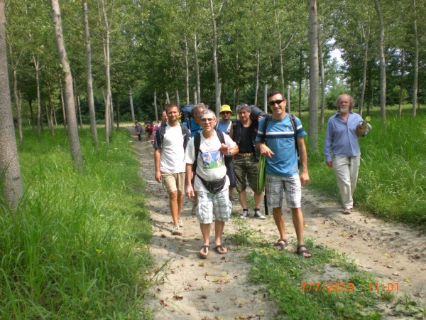 CIMG0986_A.JPG (397.19 KiB) Visto 6297 volte Il bosco per arrivare