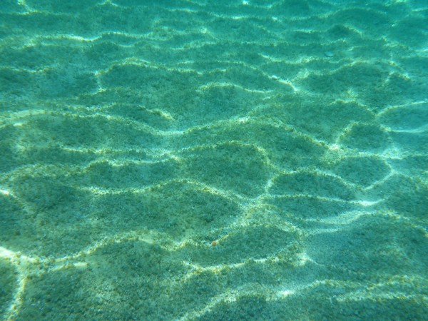 Il fondo marino subito davanti la spiaggetta